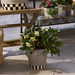 MacKenzie-Childs Maia Small Pot< Spring|Greenery & Florals