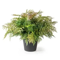 MacKenzie-Childs Potted Large Fern With Bee< Spring|Greenery & Florals